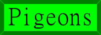 Pigeons Button
